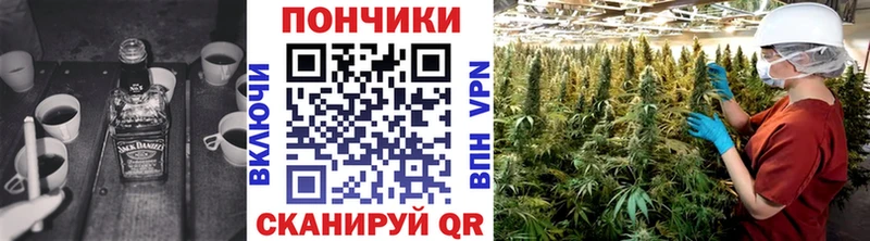 дарнет шоп  Болотное  гидра tor  Шишки марихуана марихуана 